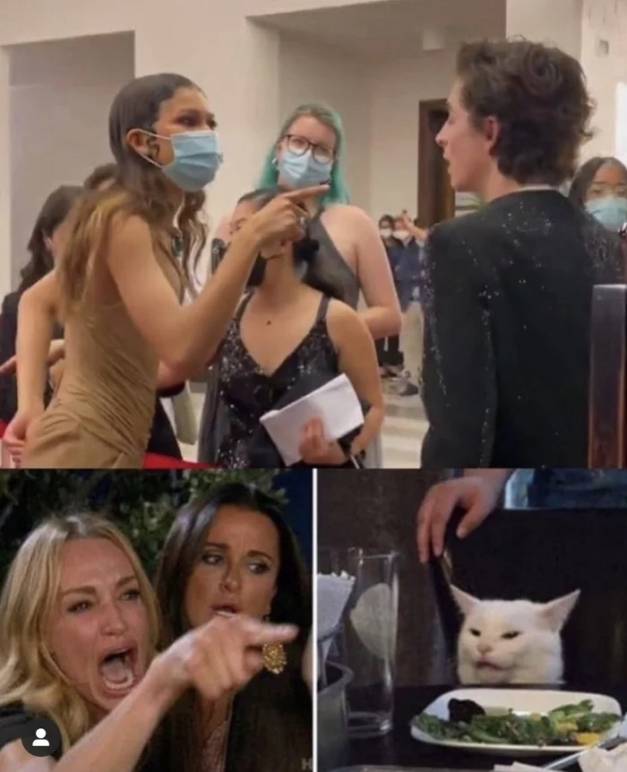 Zendaya yelling at Timothy - Two women yell at the cat, , Timothee Chalamet, Dune, Zendeya