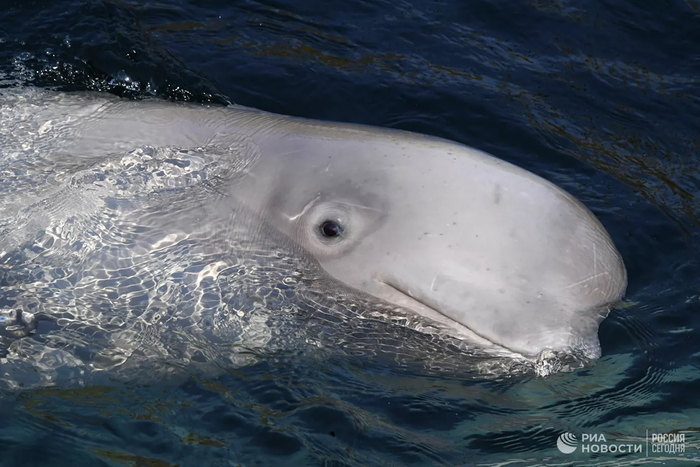 � ���������� ����������� ������� ������� ������� ������