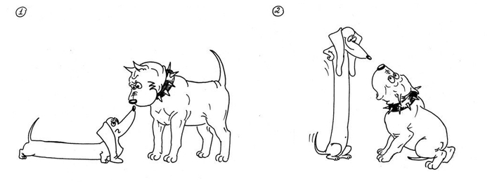 �������� | ��� ���� � �����