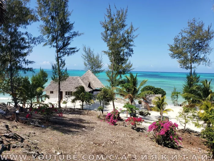 Holidays in Zanzibar, Tanzania. - My, Africa, Travels, Living abroad, Hotel, Hotel, Relaxation, Zanzibar, Video, Longpost