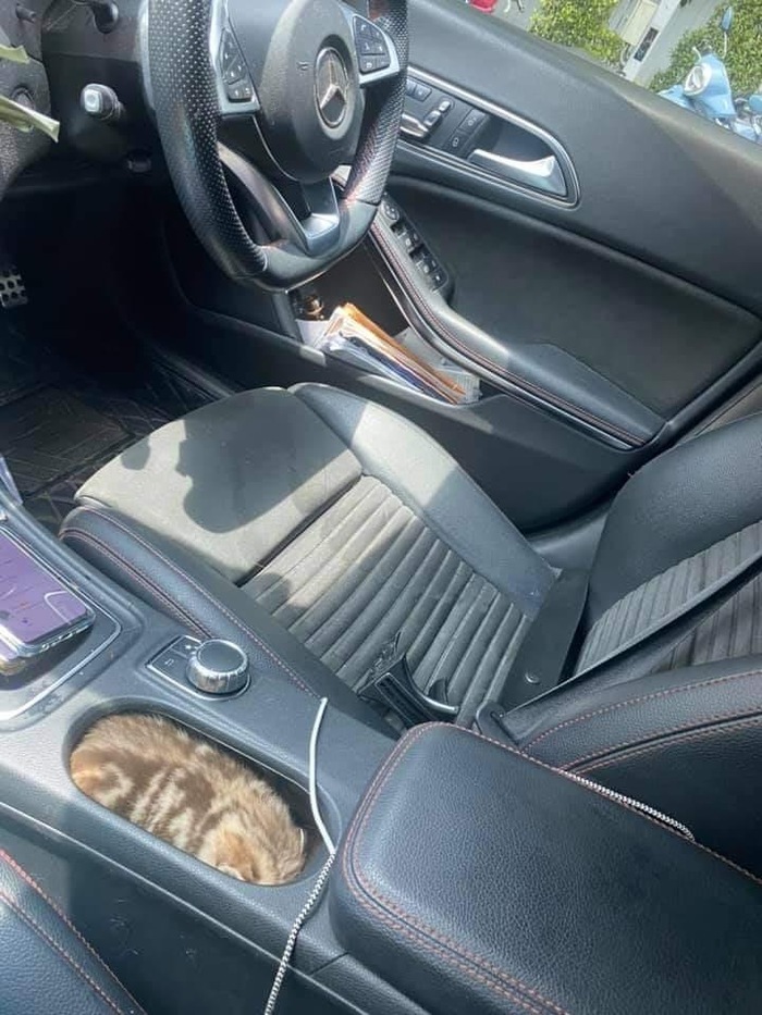 �������� �����������