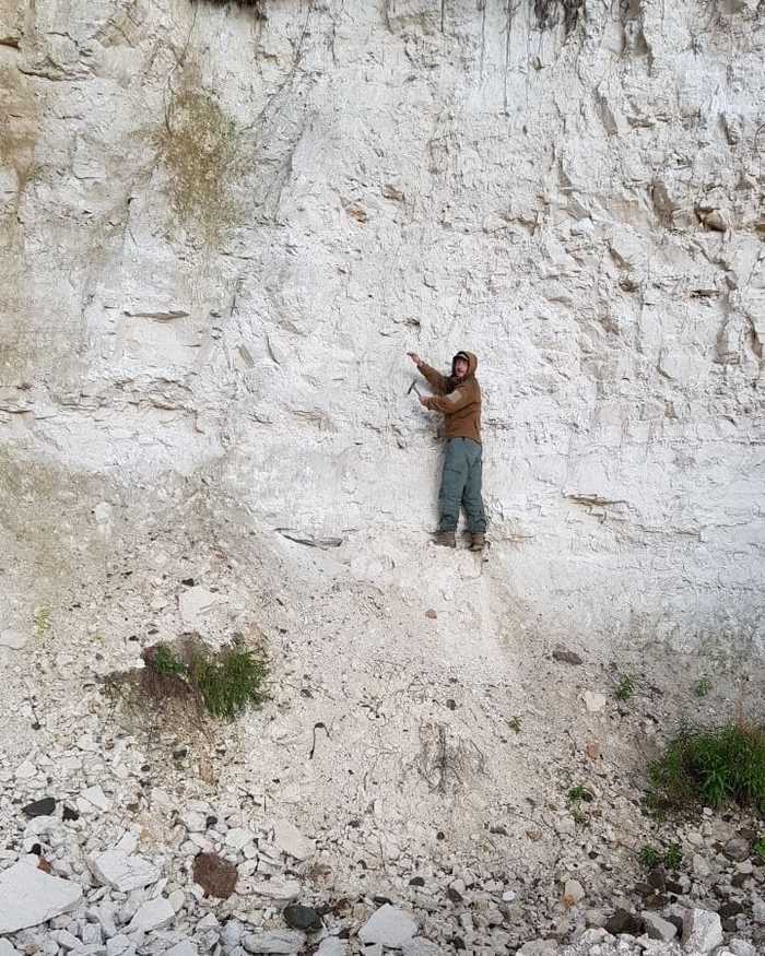 Carboniferous limestones of Kema - My, Limestone, , Fossils, Fossils, Vologodskaya Oblast, Quarry, Paleontology, Longpost, Vytegra