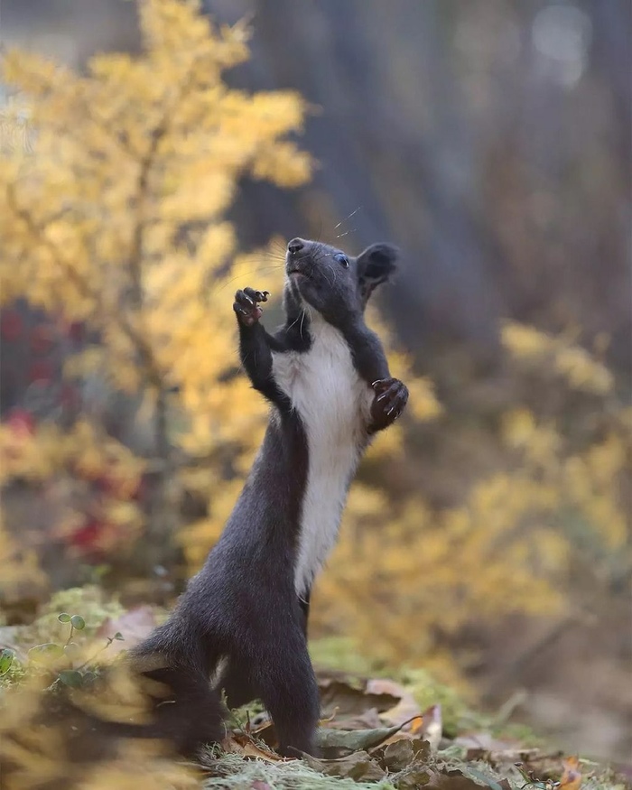 А я иду такая вся...