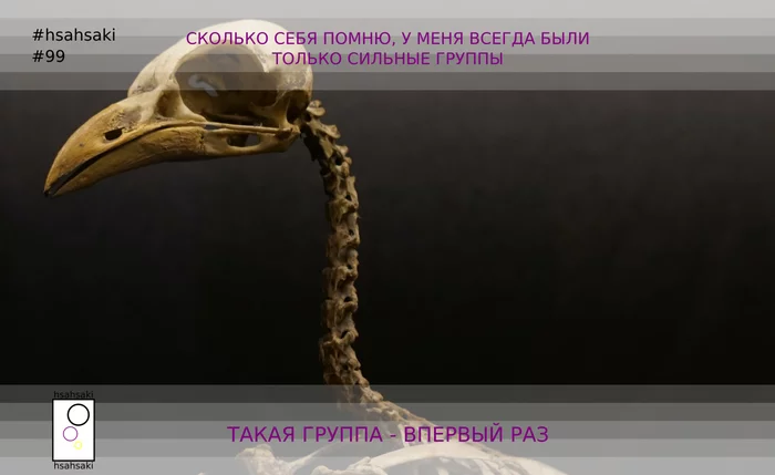 Мем про студентов hsahsaki 99.3: Как можно быть настолько слабой группой? - Моё, Вуз, Универ, Институт, Студенты, Преподаватель, Группа, Птицы, Мемы, , Картинка с текстом, Картинки, Скелет