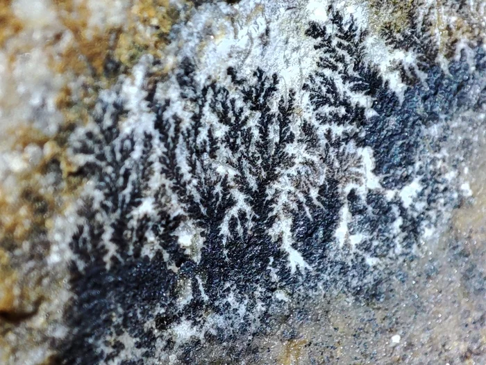 Dendrites - My, Minerals, Calcite, Manganese, Longpost