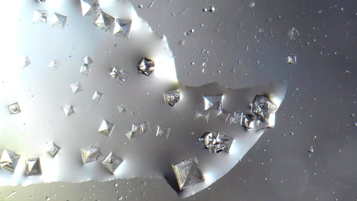 Salt crystallization - My, Salt, Microscope, Microscopy, Crystallization