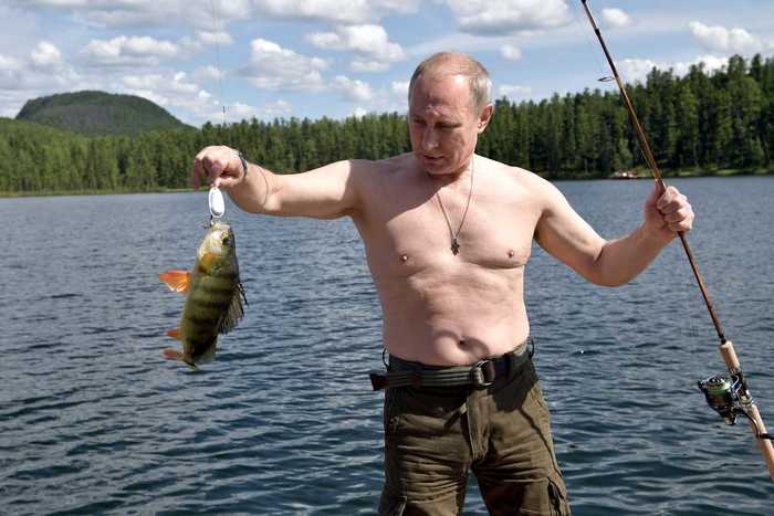 Putin emigrants united russia - Vladimir Putin, Politics, Migrants, Alexey Navalny, Test, Elections, Coronavirus, 