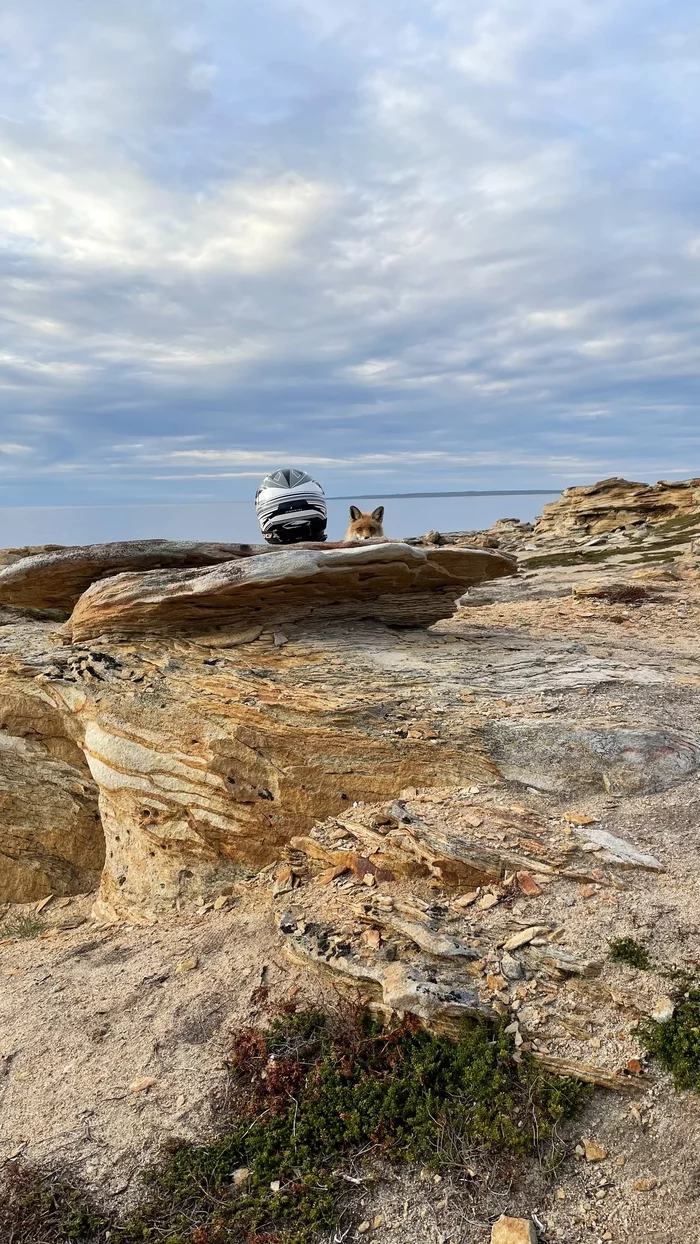 Will I try? - My, Rybachy Peninsula, Motorcycle travel, Russia