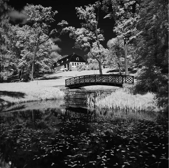 Expanding the world with the Rollei Infrared 400 - My, The photo, Black and white photo, Infrared shooting, Medium format, Landscape, Longpost