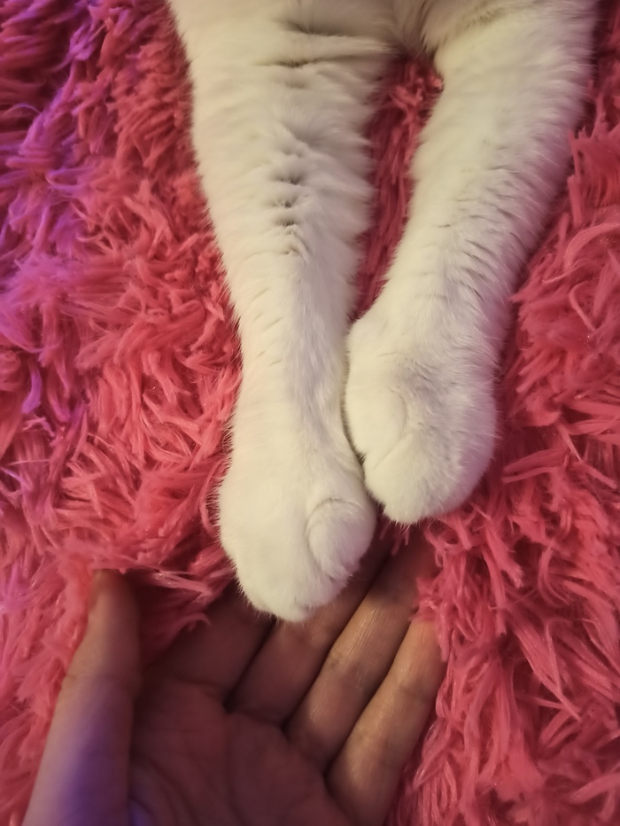   , , , ,  , ,  