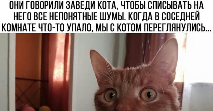 если б я знал что это такое. 1631977153185684510. если б я знал что это такое фото. если б я знал что это такое-1631977153185684510. картинка если б я знал что это такое. картинка 1631977153185684510.