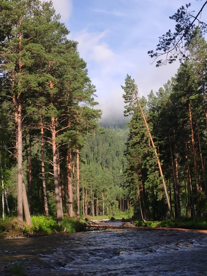 Dawn on Chemal - Altai Republic, Mobile photography