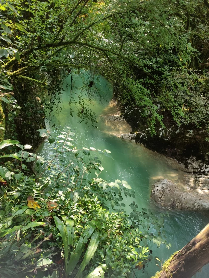 Gorge Chernigovka - My, Abkhazia, Mountain river