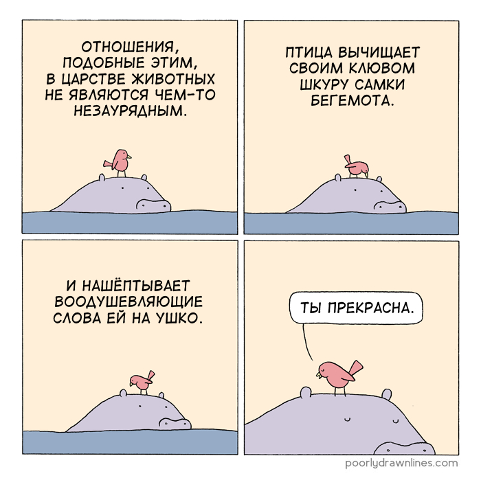 Птица и бегемотиха - Перевел сам, Комиксы, Poorly Drawn Lines, Повтор