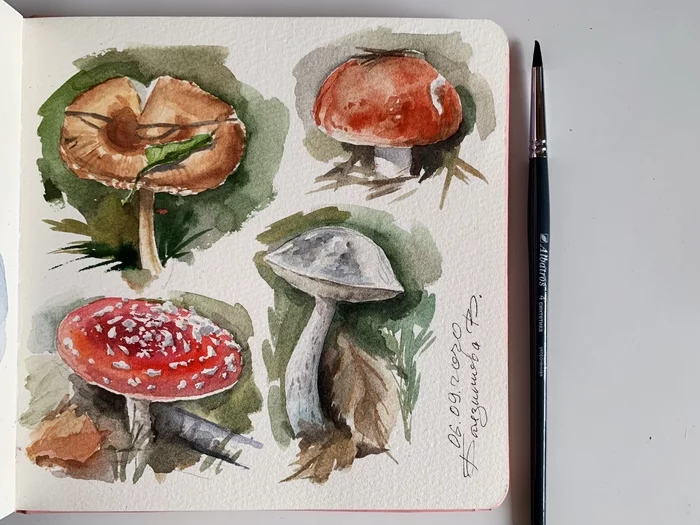 last year's mushrooms - My, Watercolor, Drawing, Painting, Artist, Mushrooms