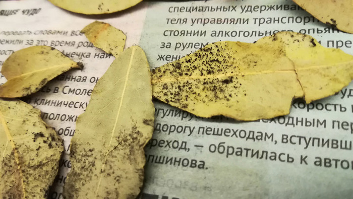 аэрофлот подарочный сертификат код активации. 1632060171189122098. аэрофлот подарочный сертификат код активации фото. аэрофлот подарочный сертификат код активации-1632060171189122098. картинка аэрофлот подарочный сертификат код активации. картинка 1632060171189122098. Сообщений: 65 301 Из: Чебоксары Telegram: @blog21