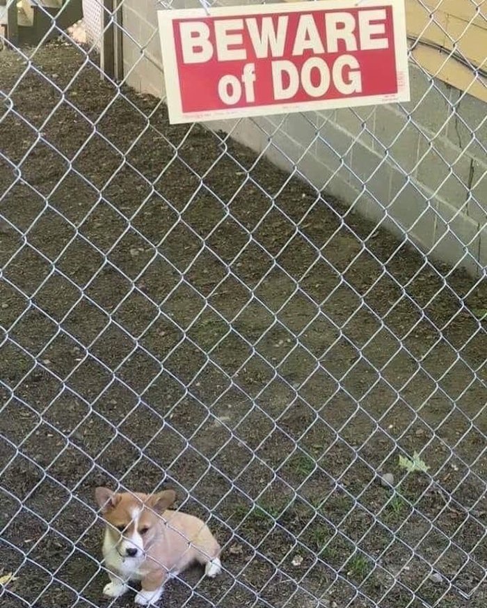 �������� ������