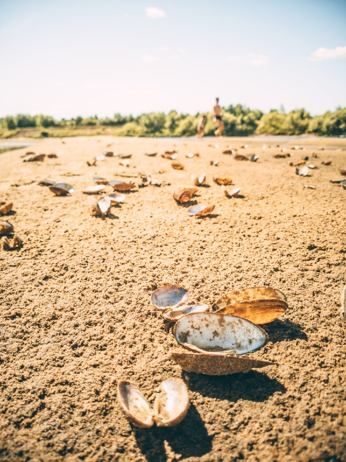 Ветлгуга, Нижегородская область
