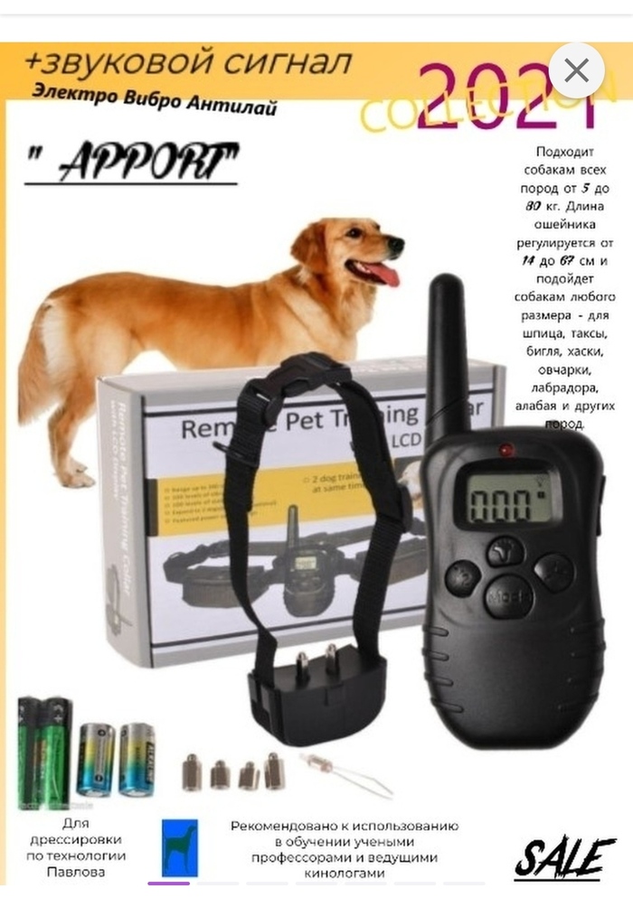 ���� �������������