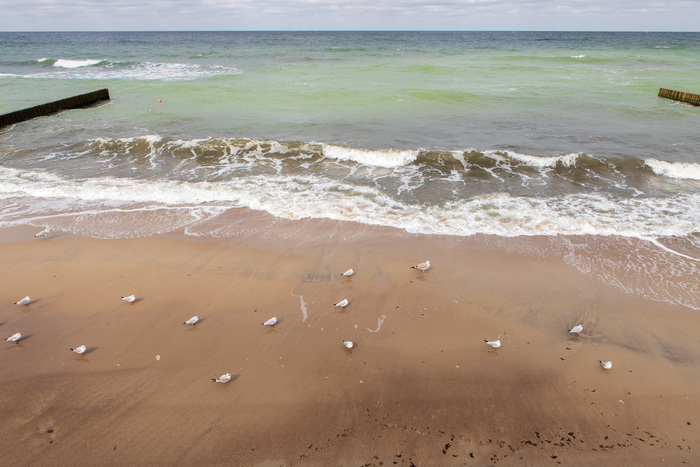 Зеленоградск 2021