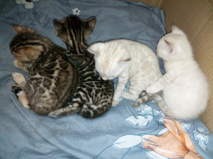 ����� ������������� :)