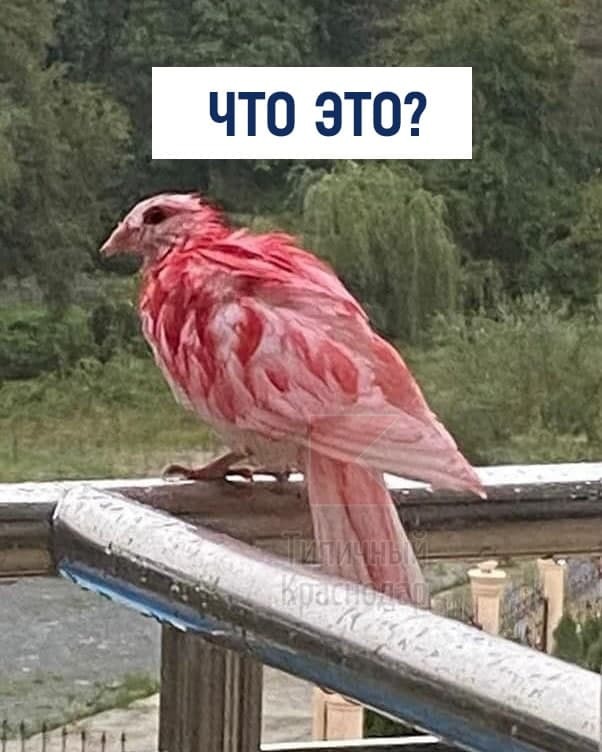 ��� �� �����?