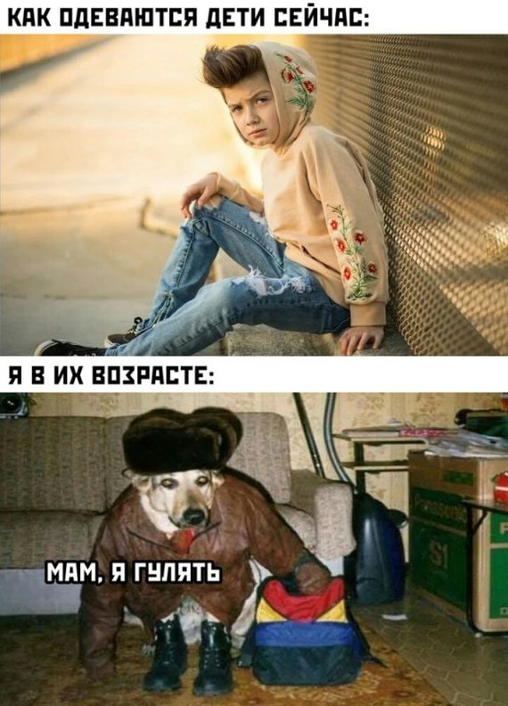 Generation difference - Humor, Generation difference, Children, Picture with text, Dog, Cloth