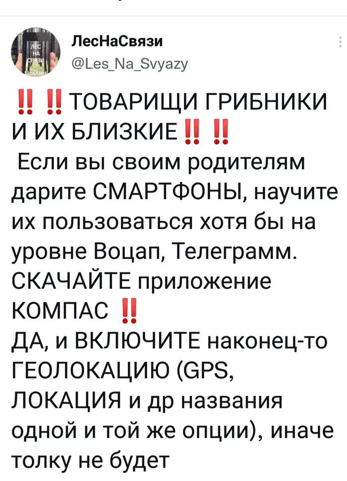 Продолжение поста «Безопасность в лесу» - Лес, Грибы, Безопасность, Лиза Алерт, Ответ на пост