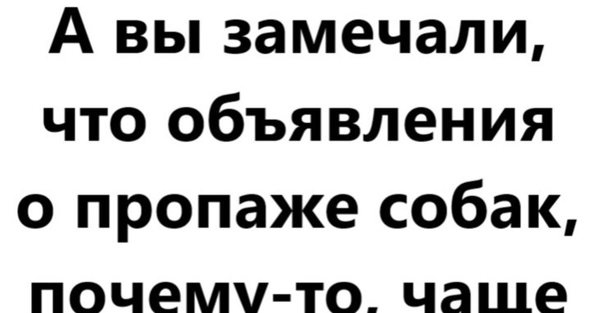 Объявления о пропаже собак | Пикабу