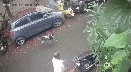   , , , 