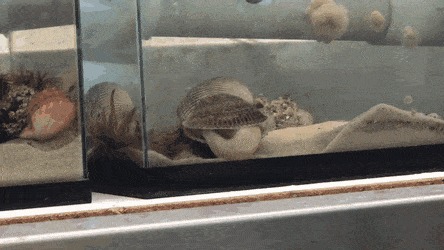   , , , 