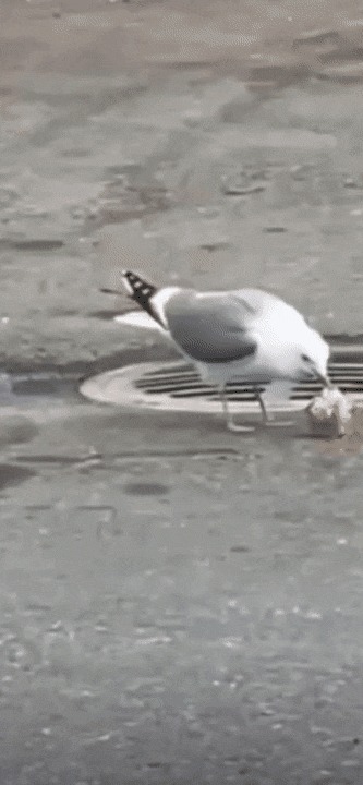   , , , 