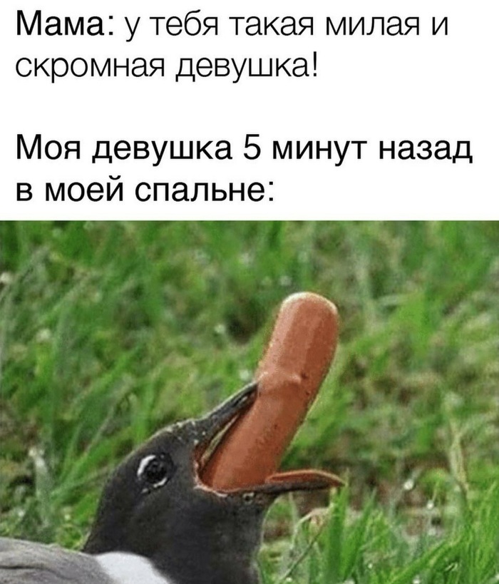 ���������� �������� �������