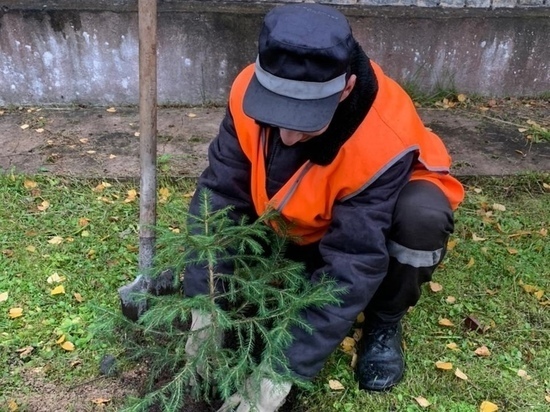 Landscaping of a prison in Karelia - Карелия, Landscaping, news