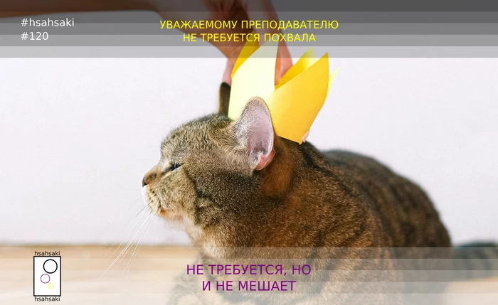 Hsahsaki 120.3 student meme: The teacher does not need, but also does not refuse praise - My, University, Institute, Students, Teacher, Memes, Praise, Animals, cat, , Picture with text, Images