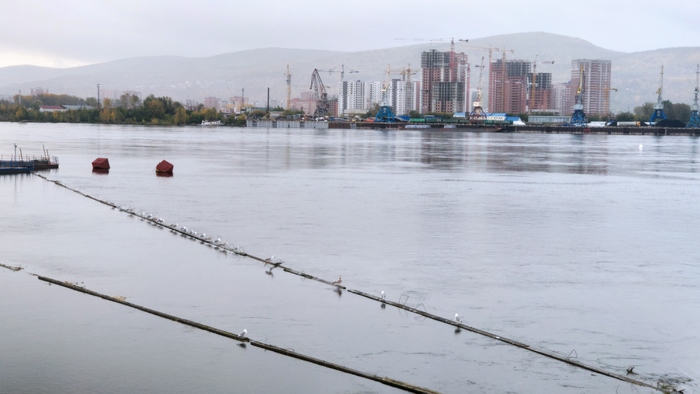 Сила пикабу, расставь запятые!