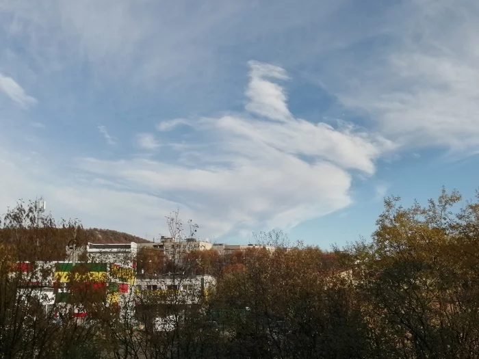 Fish in a skullcap and a dolphin - My, Clouds, Pareidolia