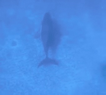   , , , 