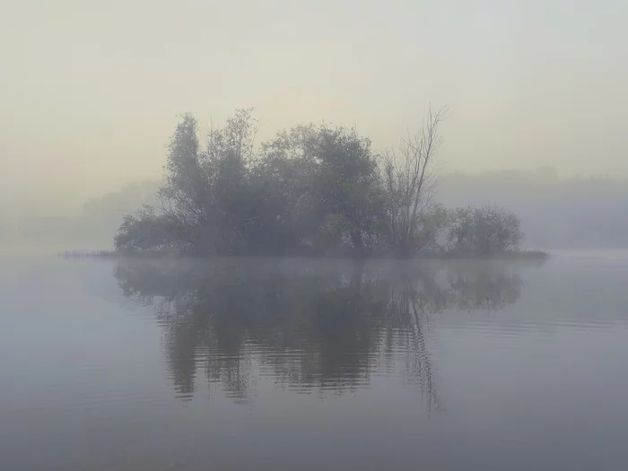 Rorschach test - My, Landscape, Rorschach test, Olympus, The photo, Fog, Sigma