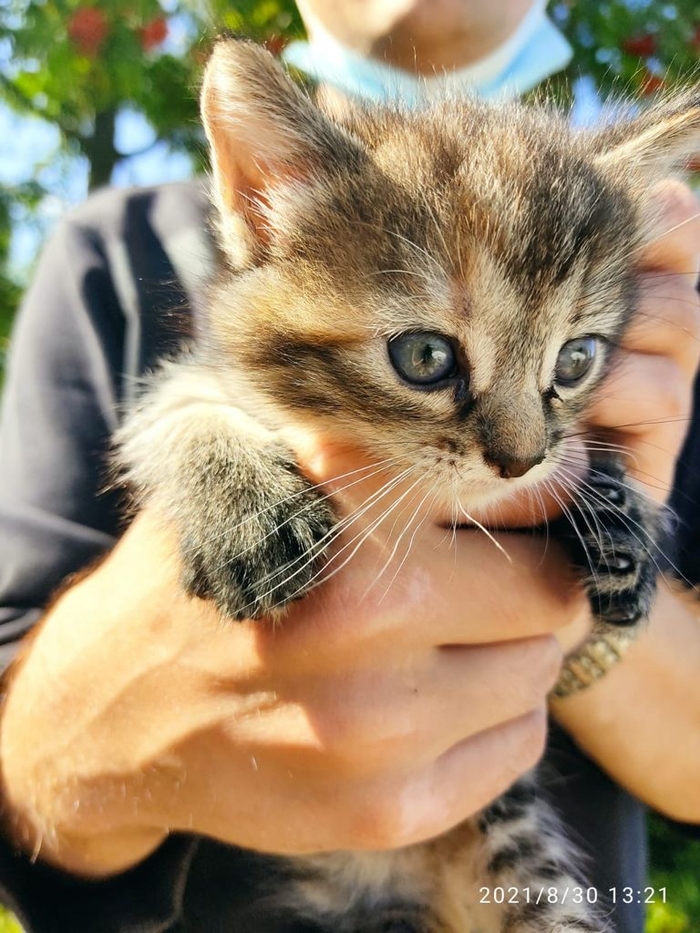 ΠΊΠ°ΠΊΠ°Ρ ΡΠ°Π·Π½ΠΈΡΠ° ΠΌΠ΅ΠΆΠ΄Ρ Π±ΠΎΡΠ΄ΡΡΠΎΠΌ ΠΈ ΠΏΠΎΡΠ΅Π±ΡΠΈΠΊΠΎΠΌ. Π‘ΠΌΠΎΡΡΠ΅ΡΡ ΡΠΎΡΠΎ ΠΊΠ°ΠΊΠ°Ρ ΡΠ°Π·Π½ΠΈΡΠ° ΠΌΠ΅ΠΆΠ΄Ρ Π±ΠΎΡΠ΄ΡΡΠΎΠΌ ΠΈ ΠΏΠΎΡΠ΅Π±ΡΠΈΠΊΠΎΠΌ. Π‘ΠΌΠΎΡΡΠ΅ΡΡ ΠΊΠ°ΡΡΠΈΠ½ΠΊΡ ΠΊΠ°ΠΊΠ°Ρ ΡΠ°Π·Π½ΠΈΡΠ° ΠΌΠ΅ΠΆΠ΄Ρ Π±ΠΎΡΠ΄ΡΡΠΎΠΌ ΠΈ ΠΏΠΎΡΠ΅Π±ΡΠΈΠΊΠΎΠΌ. ΠΠ°ΡΡΠΈΠ½ΠΊΠ° ΠΏΡΠΎ ΠΊΠ°ΠΊΠ°Ρ ΡΠ°Π·Π½ΠΈΡΠ° ΠΌΠ΅ΠΆΠ΄Ρ Π±ΠΎΡΠ΄ΡΡΠΎΠΌ ΠΈ ΠΏΠΎΡΠ΅Π±ΡΠΈΠΊΠΎΠΌ. Π€ΠΎΡΠΎ ΠΊΠ°ΠΊΠ°Ρ ΡΠ°Π·Π½ΠΈΡΠ° ΠΌΠ΅ΠΆΠ΄Ρ Π±ΠΎΡΠ΄ΡΡΠΎΠΌ ΠΈ ΠΏΠΎΡΠ΅Π±ΡΠΈΠΊΠΎΠΌ ΠΊΠ°ΠΊΠ°Ρ ΡΠ°Π·Π½ΠΈΡΠ° ΠΌΠ΅ΠΆΠ΄Ρ Π±ΠΎΡΠ΄ΡΡΠΎΠΌ ΠΈ ΠΏΠΎΡΠ΅Π±ΡΠΈΠΊΠΎΠΌ. Π‘ΠΌΠΎΡΡΠ΅ΡΡ ΡΠΎΡΠΎ ΠΊΠ°ΠΊΠ°Ρ ΡΠ°Π·Π½ΠΈΡΠ° ΠΌΠ΅ΠΆΠ΄Ρ Π±ΠΎΡΠ΄ΡΡΠΎΠΌ ΠΈ ΠΏΠΎΡΠ΅Π±ΡΠΈΠΊΠΎΠΌ. Π‘ΠΌΠΎΡΡΠ΅ΡΡ ΠΊΠ°ΡΡΠΈΠ½ΠΊΡ ΠΊΠ°ΠΊΠ°Ρ ΡΠ°Π·Π½ΠΈΡΠ° ΠΌΠ΅ΠΆΠ΄Ρ Π±ΠΎΡΠ΄ΡΡΠΎΠΌ ΠΈ ΠΏΠΎΡΠ΅Π±ΡΠΈΠΊΠΎΠΌ. ΠΠ°ΡΡΠΈΠ½ΠΊΠ° ΠΏΡΠΎ ΠΊΠ°ΠΊΠ°Ρ ΡΠ°Π·Π½ΠΈΡΠ° ΠΌΠ΅ΠΆΠ΄Ρ Π±ΠΎΡΠ΄ΡΡΠΎΠΌ ΠΈ ΠΏΠΎΡΠ΅Π±ΡΠΈΠΊΠΎΠΌ. Π€ΠΎΡΠΎ ΠΊΠ°ΠΊΠ°Ρ ΡΠ°Π·Π½ΠΈΡΠ° ΠΌΠ΅ΠΆΠ΄Ρ Π±ΠΎΡΠ΄ΡΡΠΎΠΌ ΠΈ ΠΏΠΎΡΠ΅Π±ΡΠΈΠΊΠΎΠΌ