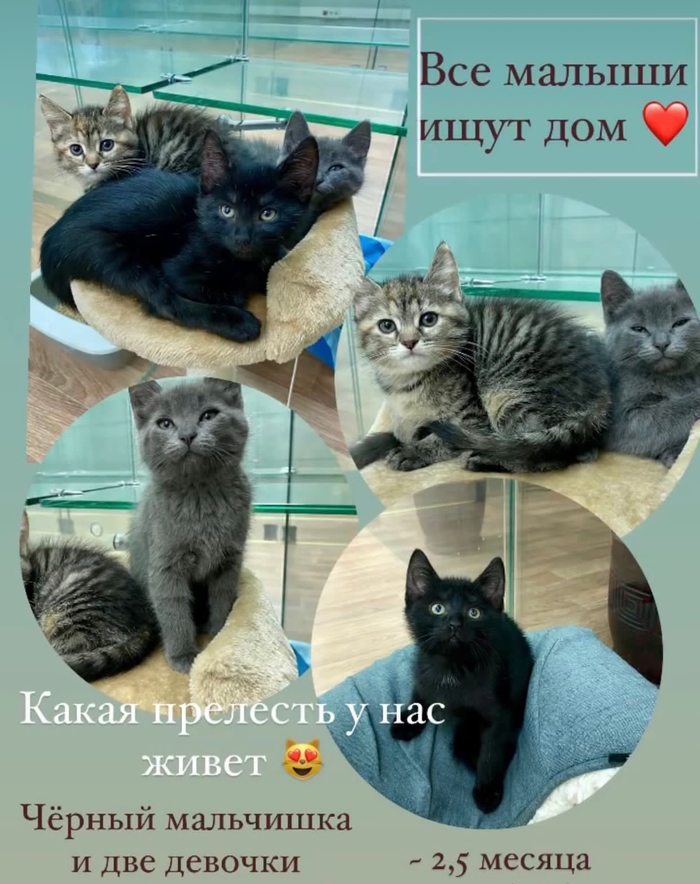 ΠΊΠ°ΠΊΠ°Ρ ΡΠ°Π·Π½ΠΈΡΠ° ΠΌΠ΅ΠΆΠ΄Ρ Π±ΠΎΡΠ΄ΡΡΠΎΠΌ ΠΈ ΠΏΠΎΡΠ΅Π±ΡΠΈΠΊΠΎΠΌ. Π‘ΠΌΠΎΡΡΠ΅ΡΡ ΡΠΎΡΠΎ ΠΊΠ°ΠΊΠ°Ρ ΡΠ°Π·Π½ΠΈΡΠ° ΠΌΠ΅ΠΆΠ΄Ρ Π±ΠΎΡΠ΄ΡΡΠΎΠΌ ΠΈ ΠΏΠΎΡΠ΅Π±ΡΠΈΠΊΠΎΠΌ. Π‘ΠΌΠΎΡΡΠ΅ΡΡ ΠΊΠ°ΡΡΠΈΠ½ΠΊΡ ΠΊΠ°ΠΊΠ°Ρ ΡΠ°Π·Π½ΠΈΡΠ° ΠΌΠ΅ΠΆΠ΄Ρ Π±ΠΎΡΠ΄ΡΡΠΎΠΌ ΠΈ ΠΏΠΎΡΠ΅Π±ΡΠΈΠΊΠΎΠΌ. ΠΠ°ΡΡΠΈΠ½ΠΊΠ° ΠΏΡΠΎ ΠΊΠ°ΠΊΠ°Ρ ΡΠ°Π·Π½ΠΈΡΠ° ΠΌΠ΅ΠΆΠ΄Ρ Π±ΠΎΡΠ΄ΡΡΠΎΠΌ ΠΈ ΠΏΠΎΡΠ΅Π±ΡΠΈΠΊΠΎΠΌ. Π€ΠΎΡΠΎ ΠΊΠ°ΠΊΠ°Ρ ΡΠ°Π·Π½ΠΈΡΠ° ΠΌΠ΅ΠΆΠ΄Ρ Π±ΠΎΡΠ΄ΡΡΠΎΠΌ ΠΈ ΠΏΠΎΡΠ΅Π±ΡΠΈΠΊΠΎΠΌ ΠΊΠ°ΠΊΠ°Ρ ΡΠ°Π·Π½ΠΈΡΠ° ΠΌΠ΅ΠΆΠ΄Ρ Π±ΠΎΡΠ΄ΡΡΠΎΠΌ ΠΈ ΠΏΠΎΡΠ΅Π±ΡΠΈΠΊΠΎΠΌ. Π‘ΠΌΠΎΡΡΠ΅ΡΡ ΡΠΎΡΠΎ ΠΊΠ°ΠΊΠ°Ρ ΡΠ°Π·Π½ΠΈΡΠ° ΠΌΠ΅ΠΆΠ΄Ρ Π±ΠΎΡΠ΄ΡΡΠΎΠΌ ΠΈ ΠΏΠΎΡΠ΅Π±ΡΠΈΠΊΠΎΠΌ. Π‘ΠΌΠΎΡΡΠ΅ΡΡ ΠΊΠ°ΡΡΠΈΠ½ΠΊΡ ΠΊΠ°ΠΊΠ°Ρ ΡΠ°Π·Π½ΠΈΡΠ° ΠΌΠ΅ΠΆΠ΄Ρ Π±ΠΎΡΠ΄ΡΡΠΎΠΌ ΠΈ ΠΏΠΎΡΠ΅Π±ΡΠΈΠΊΠΎΠΌ. ΠΠ°ΡΡΠΈΠ½ΠΊΠ° ΠΏΡΠΎ ΠΊΠ°ΠΊΠ°Ρ ΡΠ°Π·Π½ΠΈΡΠ° ΠΌΠ΅ΠΆΠ΄Ρ Π±ΠΎΡΠ΄ΡΡΠΎΠΌ ΠΈ ΠΏΠΎΡΠ΅Π±ΡΠΈΠΊΠΎΠΌ. Π€ΠΎΡΠΎ ΠΊΠ°ΠΊΠ°Ρ ΡΠ°Π·Π½ΠΈΡΠ° ΠΌΠ΅ΠΆΠ΄Ρ Π±ΠΎΡΠ΄ΡΡΠΎΠΌ ΠΈ ΠΏΠΎΡΠ΅Π±ΡΠΈΠΊΠΎΠΌ