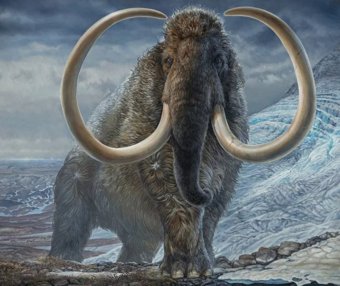 Yakutia is ready to accept mammoths recreated by Americans in 5-7 years - Yakutia, Reserves and sanctuaries, Mammoth, Elephants, USA, news, Longpost