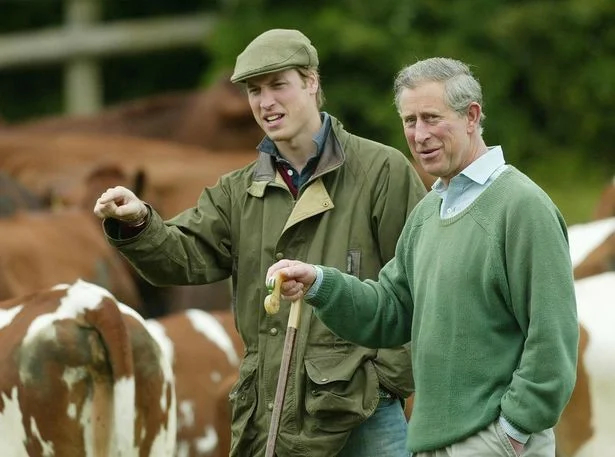 Prince Charles: in the fight for food - Ecology, Prince Charles, Great Britain, Garbage, Waste recycling, Longpost