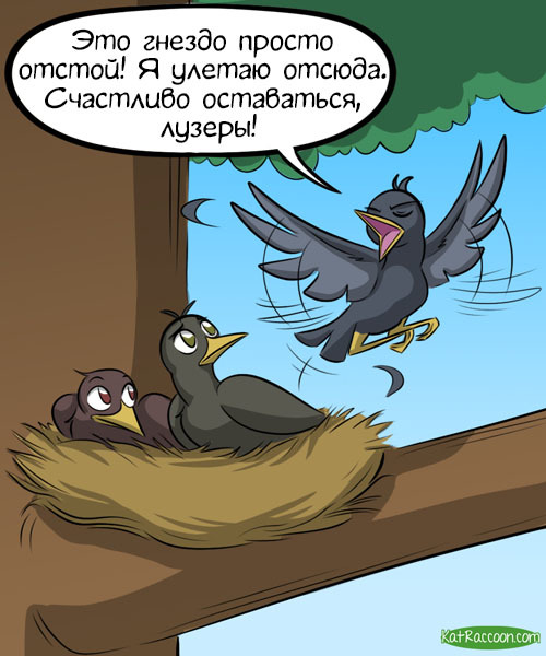 At some point, the children leave the nest... - Kat swenski, Comics, GIF with background, Nest, Chick, Humor, GIF, Longpost