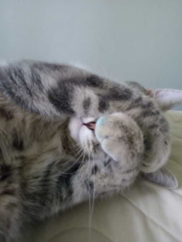 Пролила краску от принтера. Ой Господи, как же стыдно...