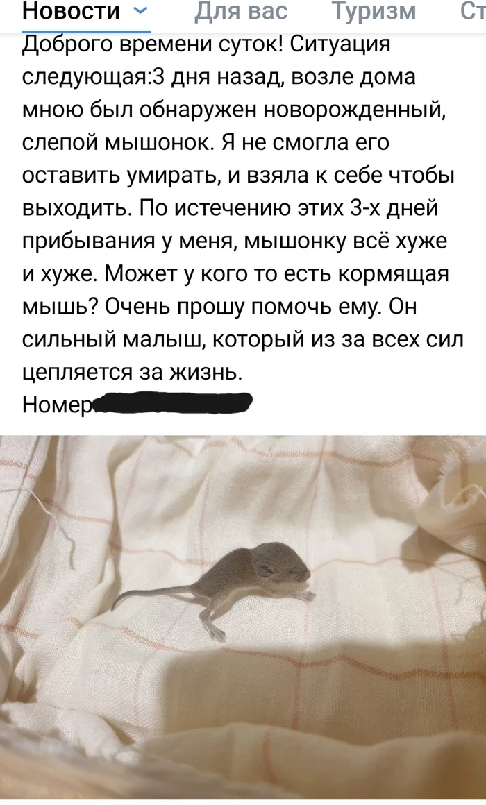 A new level of zooschiza or banter? - Mouse, Animal protection