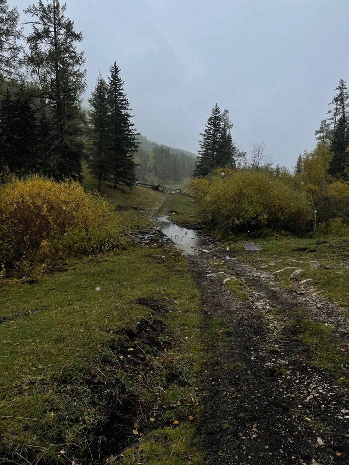 Snow on the pass between the rivers Karakol and Shinok - My, Mobile photography, Altai Mountains, Hiking, September, Autumn, Video, Longpost