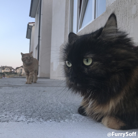 За секунду до "Дай закурить!"