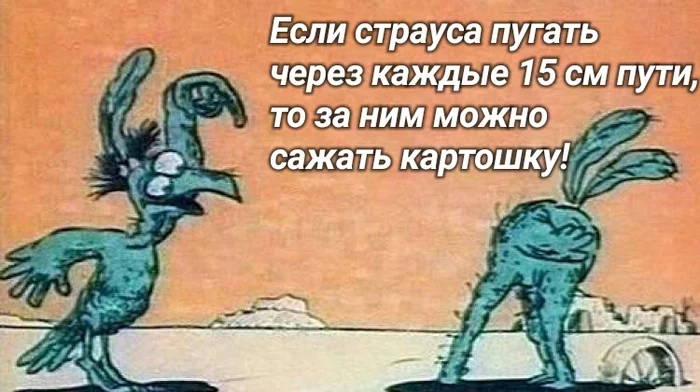 О страусах... - Мемы, Юмор, Анекдот, Мультфильмы, Страус, Мифы и реальность