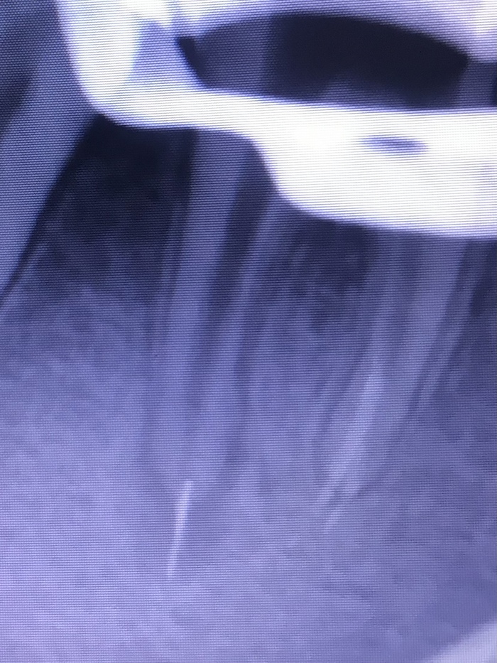 Коллеги, возник вопрос